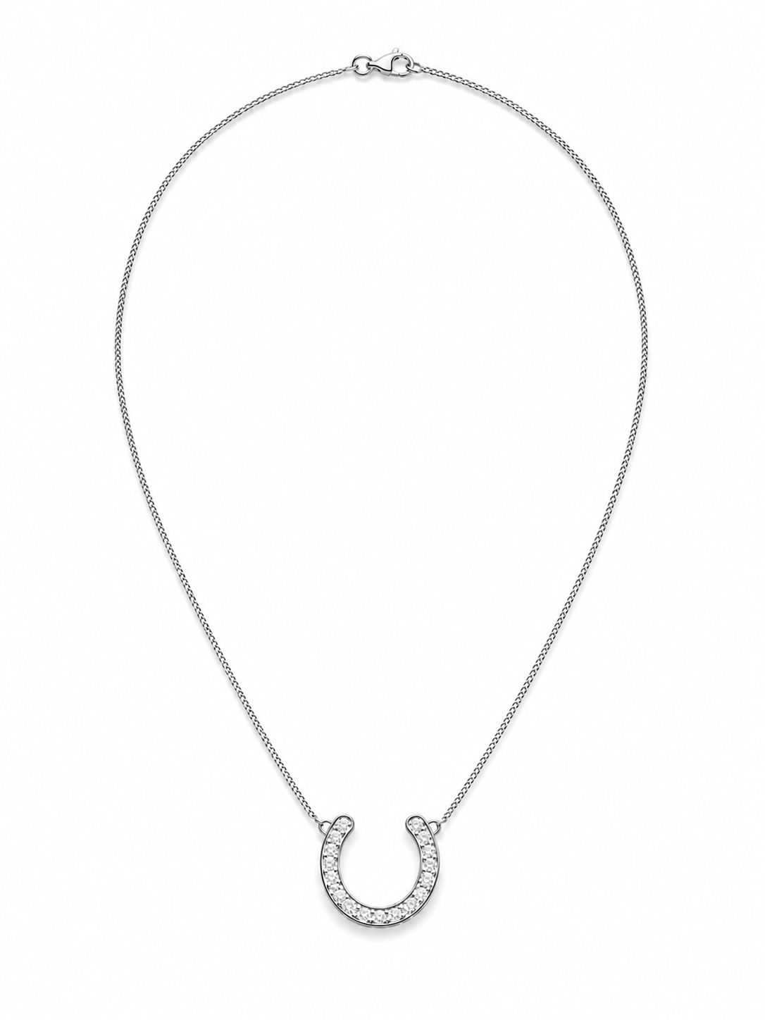 
                  
                    Horseshoe Pendant
                  
                