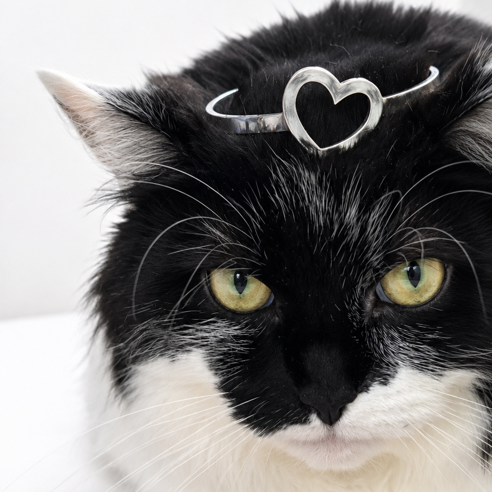 
                  
                    Love Your Pet Bracelet
                  
                