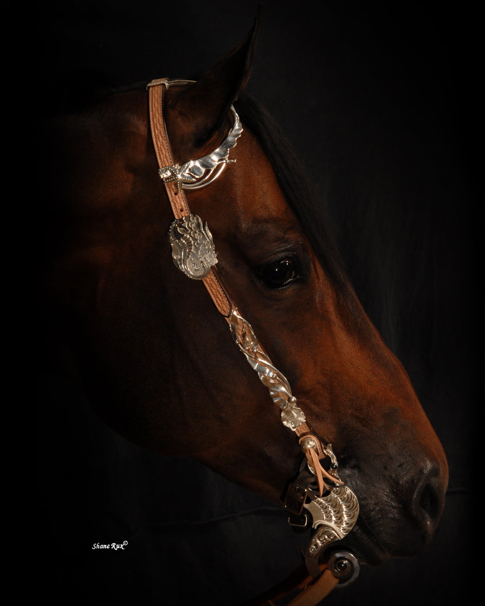 Headstall Silver